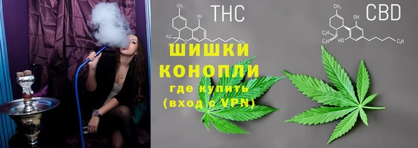 MESCALINE Горно-Алтайск