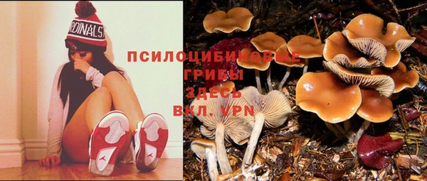 МДПВ Сатка